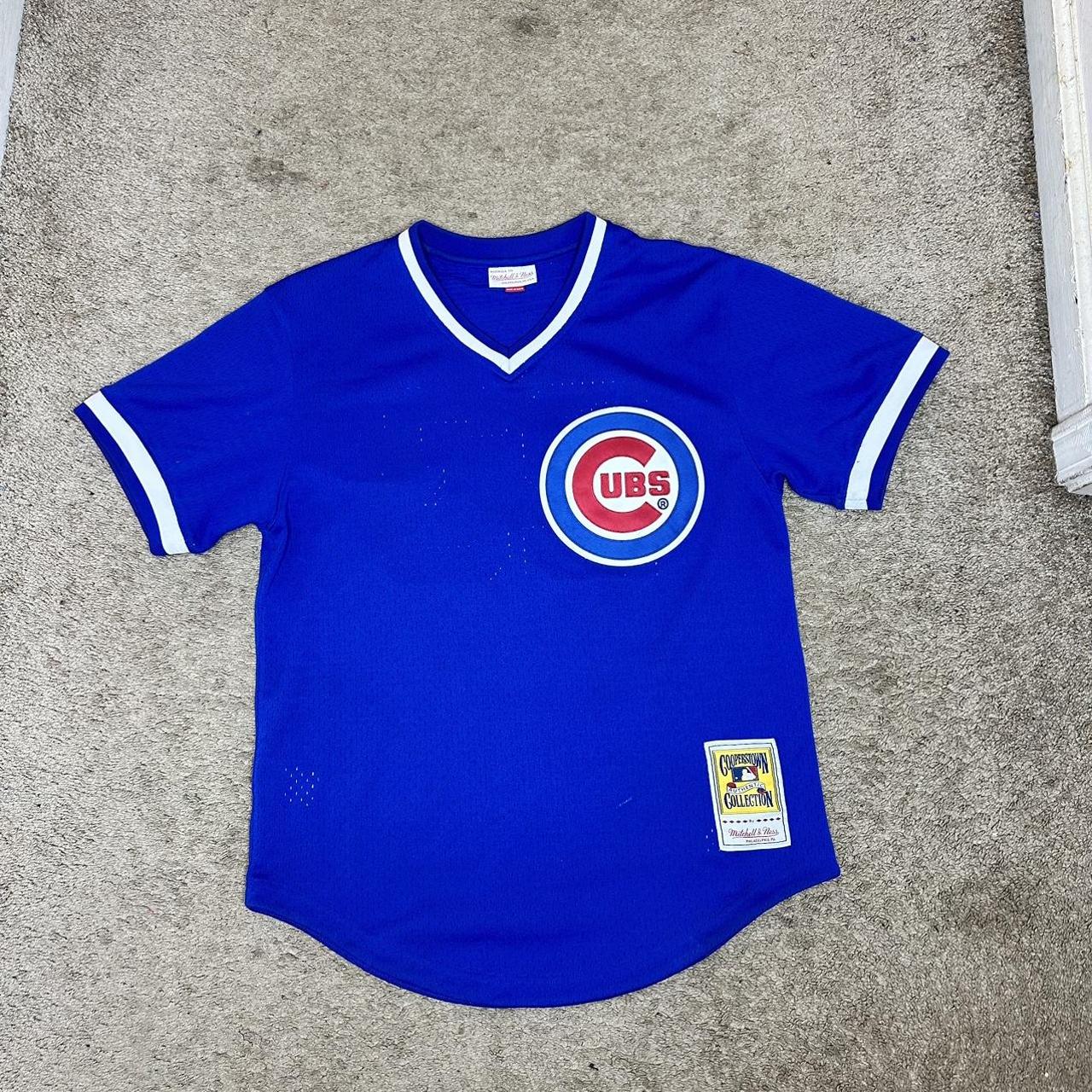 Mitchell & Ness Ryne Sandberg Chicago Cubs Jersey - Depop