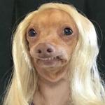 deedeesneaks's profile picture