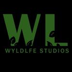 wlscloset's profile picture