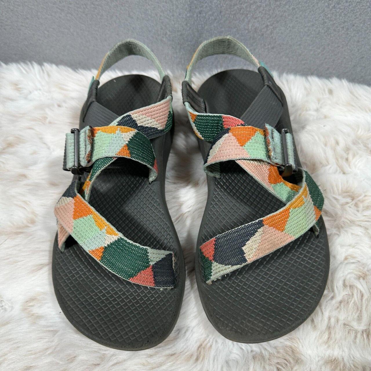 kaleido katydid chaco