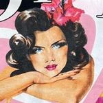 hhv456's profile picture