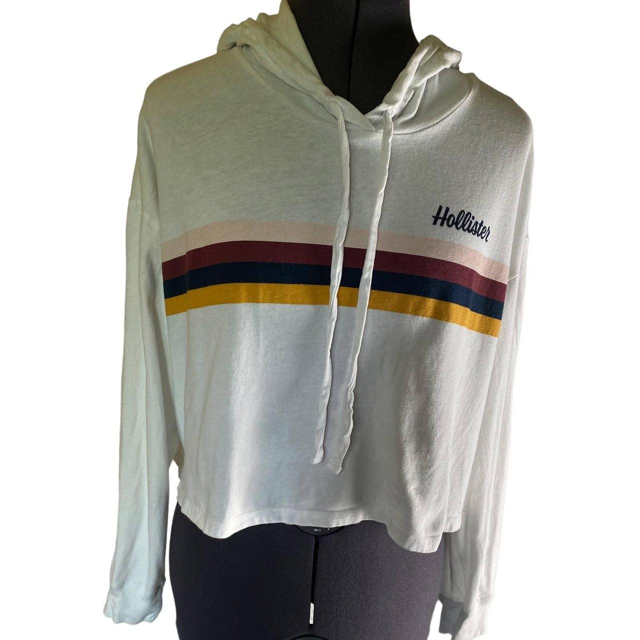 Hollister rainbow outlet hoodie