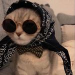 rubistar922's profile picture