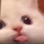 sleepyyeyes's profile picture