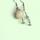 item listed by whimsycurio