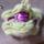 item listed by twobeandesigns