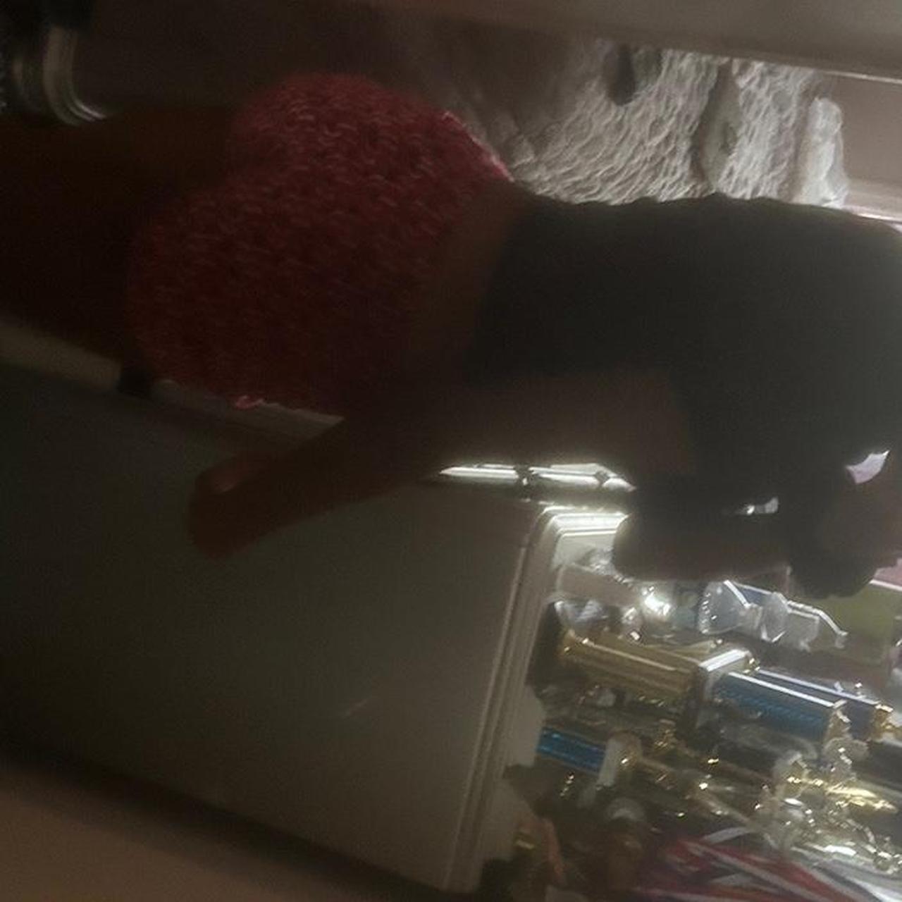 Miu Miu Women's Shorts - Red/Multi - S – miu miu … - image 3