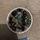 item listed by piperadams_xoxo