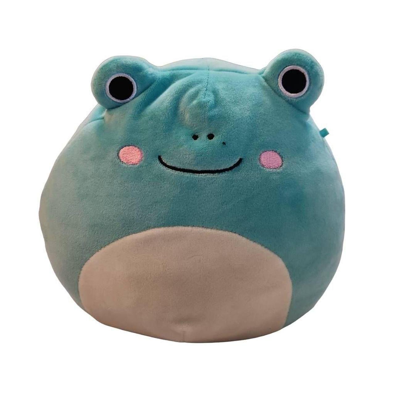 Wendy the frog Squishmallow Comes with original tag - Depop