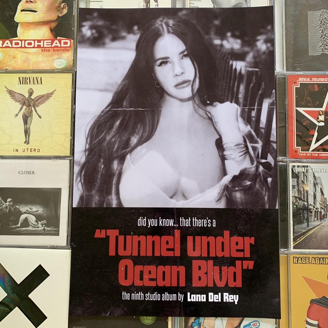 Lana Del Rey Nude Alt Cover Poster 11 x 17 in *... - Depop