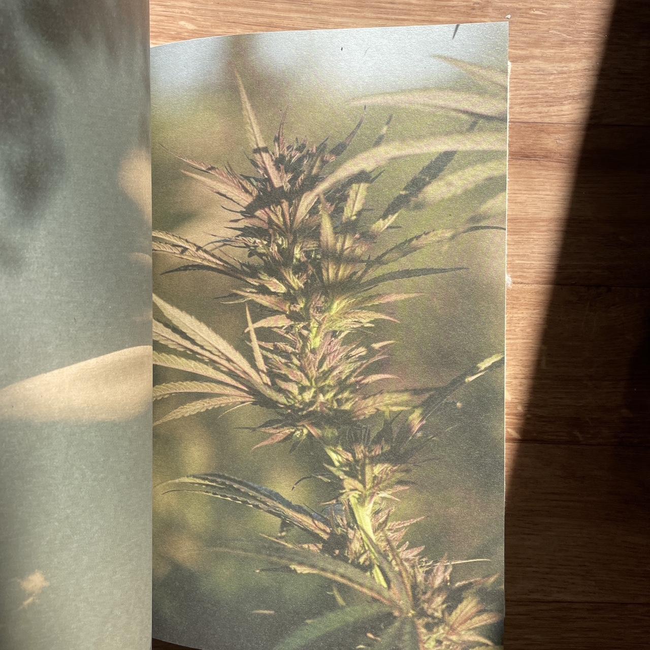 Wandering and Learning by HENRIK PURIENNE & JEAN | Depop Wandering and Learning by HENRIK PURIENNE & JEAN | Depop