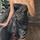 item listed by elena1903