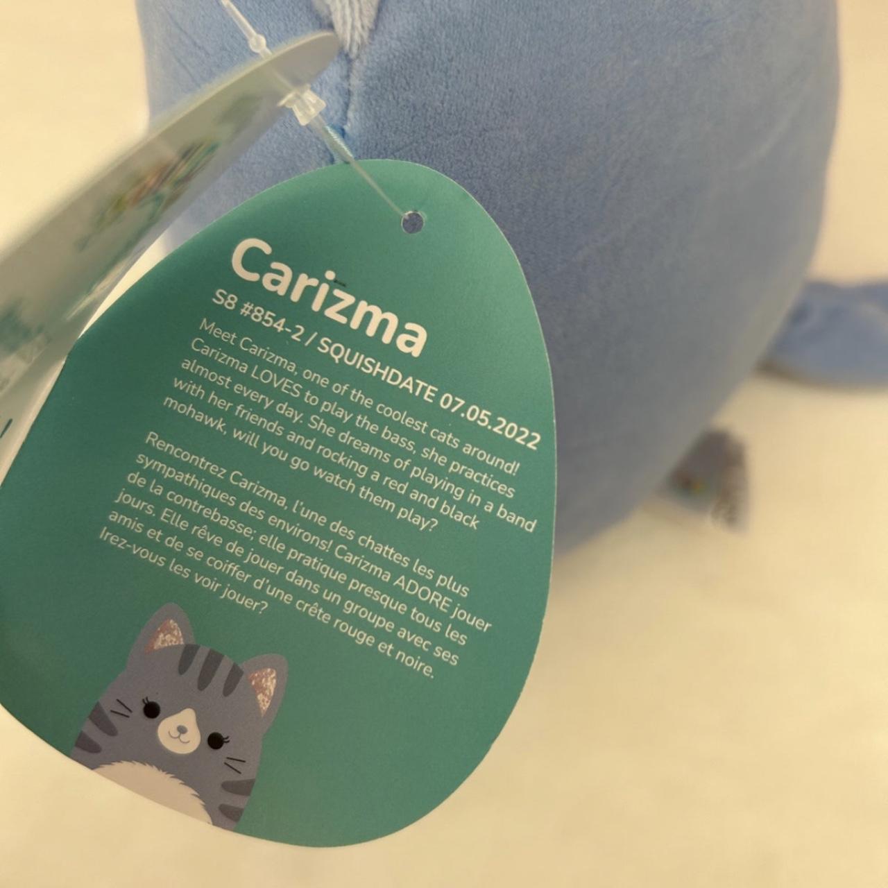 🐱 💙🐱 💙 BNWT 8” Carizma the Cat Easter 2023 Squad... - Depop