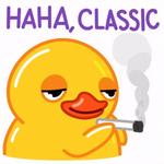 donnybaron's profile picture