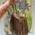 item listed by texasfinds23