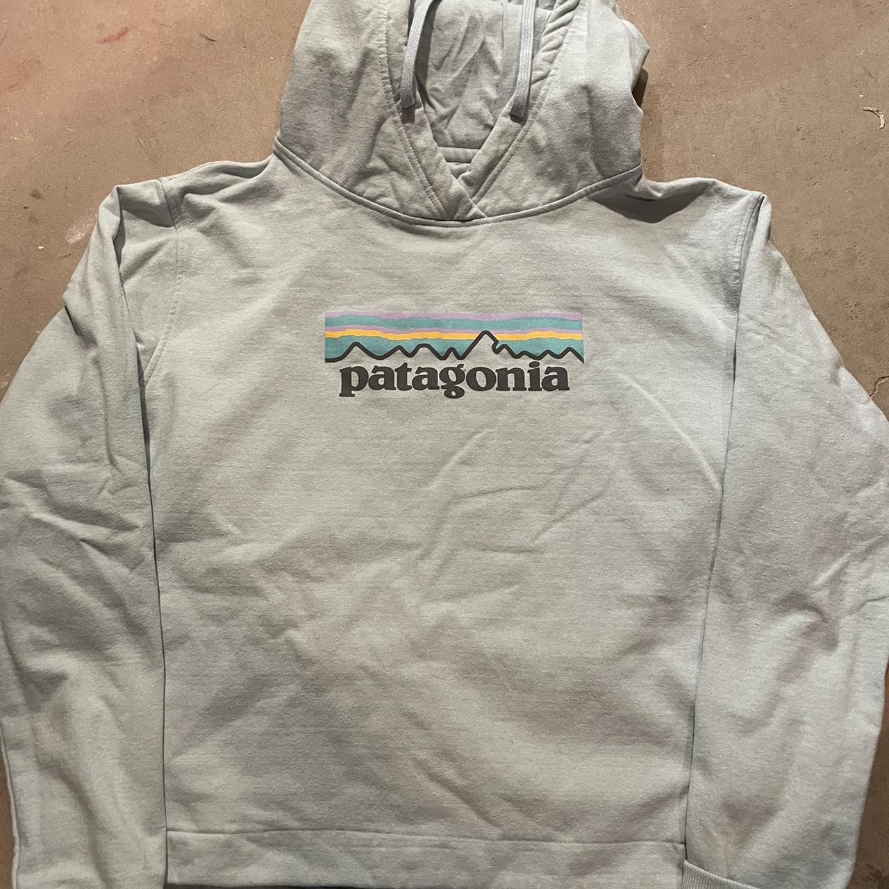 Patagonia Women's Blue Hoodie
