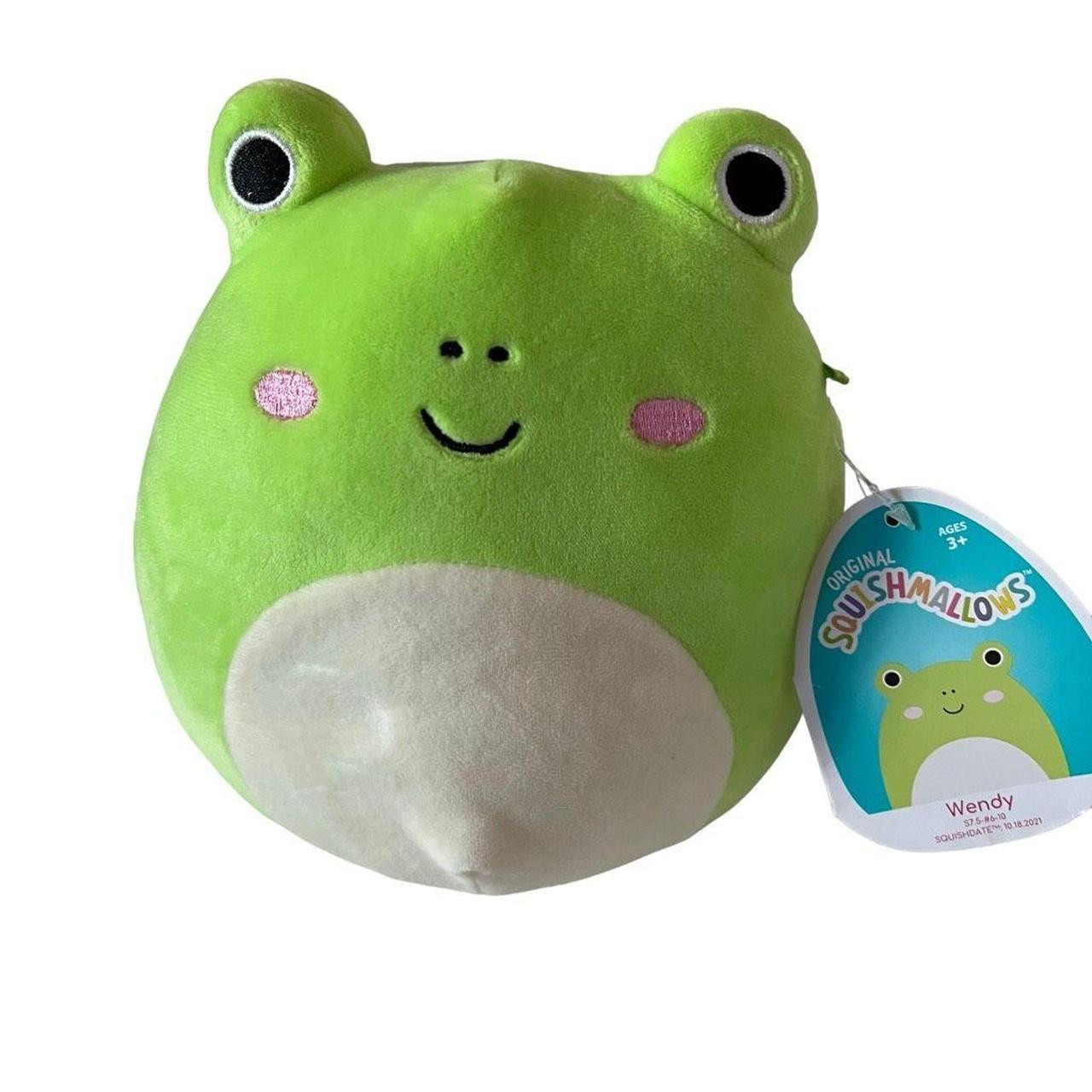 Wendy The Frog Squishmallow 2021 Plush Stuffed Toy - Depop