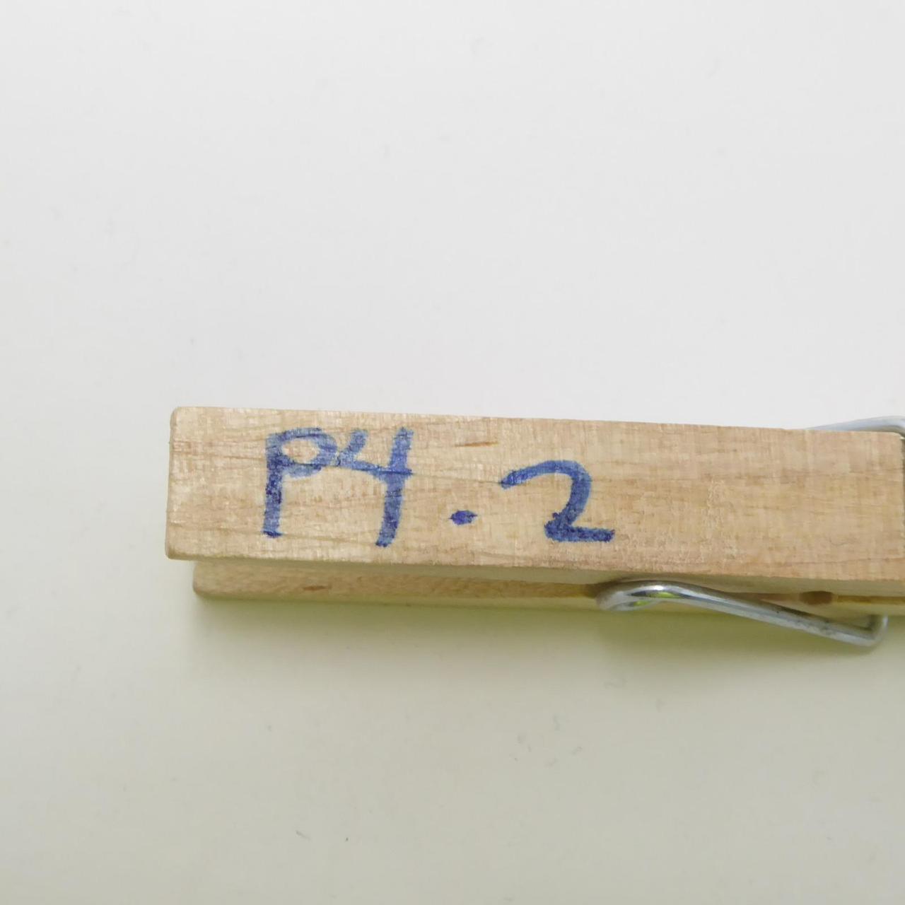 Vionic Women's Slides - Grey - US 9.5 – Vionic Sa… - image 7