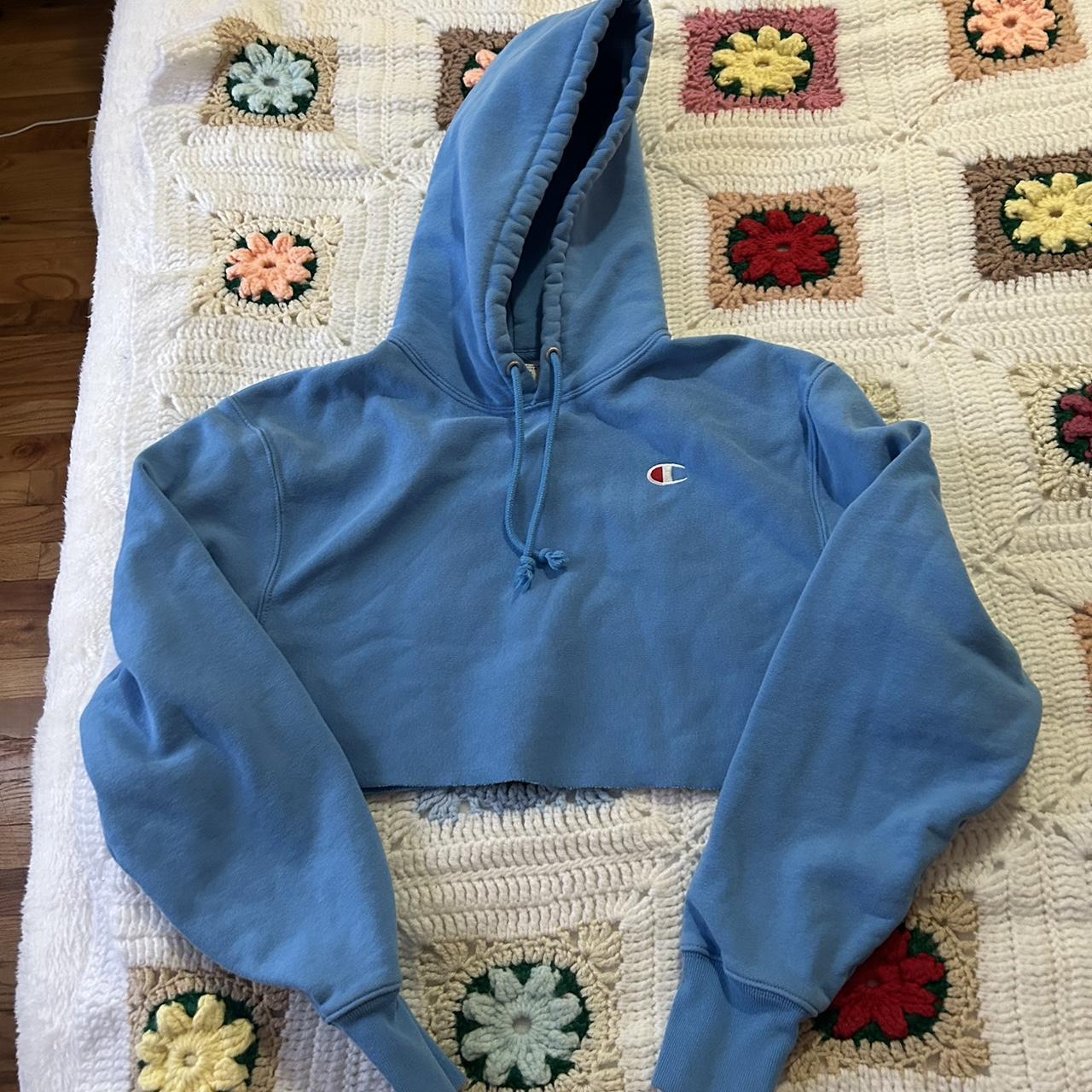 Blue champion clearance cropped hoodie