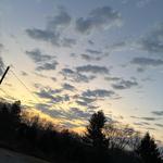 h4n4ni4ch4rli3's profile picture