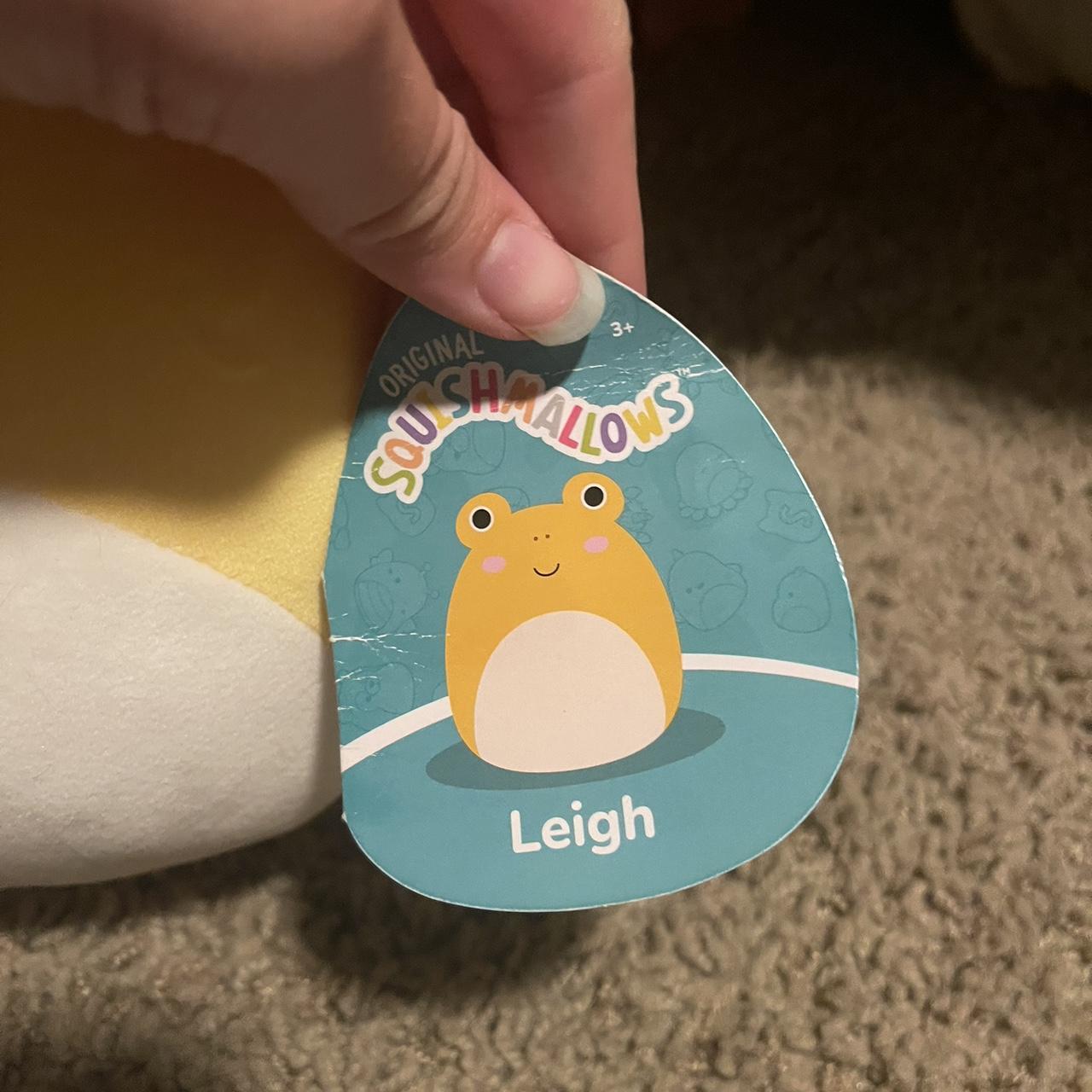 8-inch-leigh-the-yellow-toad-squishmallow-like-new-depop