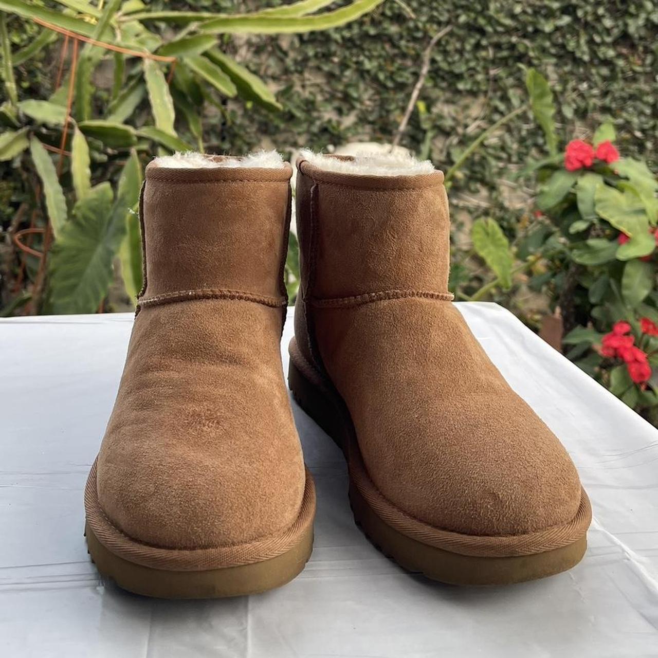 Tan fashion ugg boots