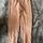 item listed by addyson_y_v