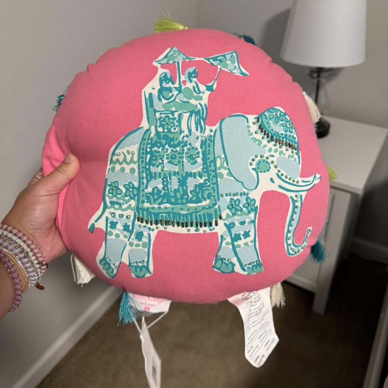 Lily Pulitzer x Pottery barn teen decorative Pillow Depop