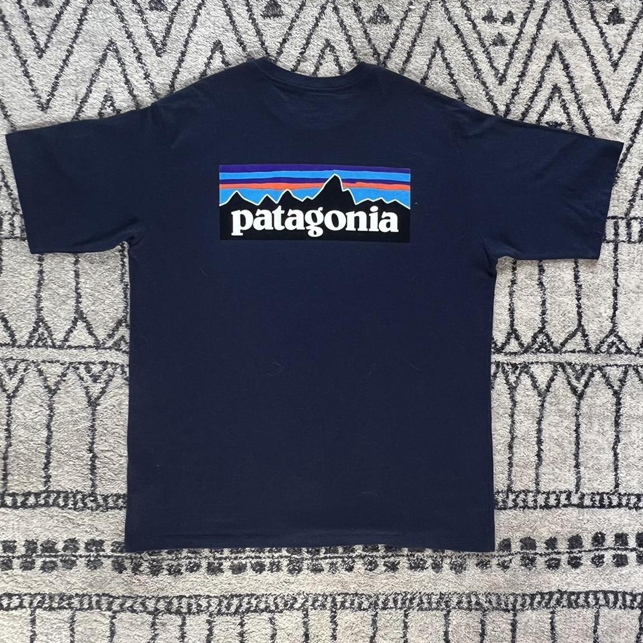 PATAGONIA T-SHIRT size medium #vintage #patagonia... - Depop