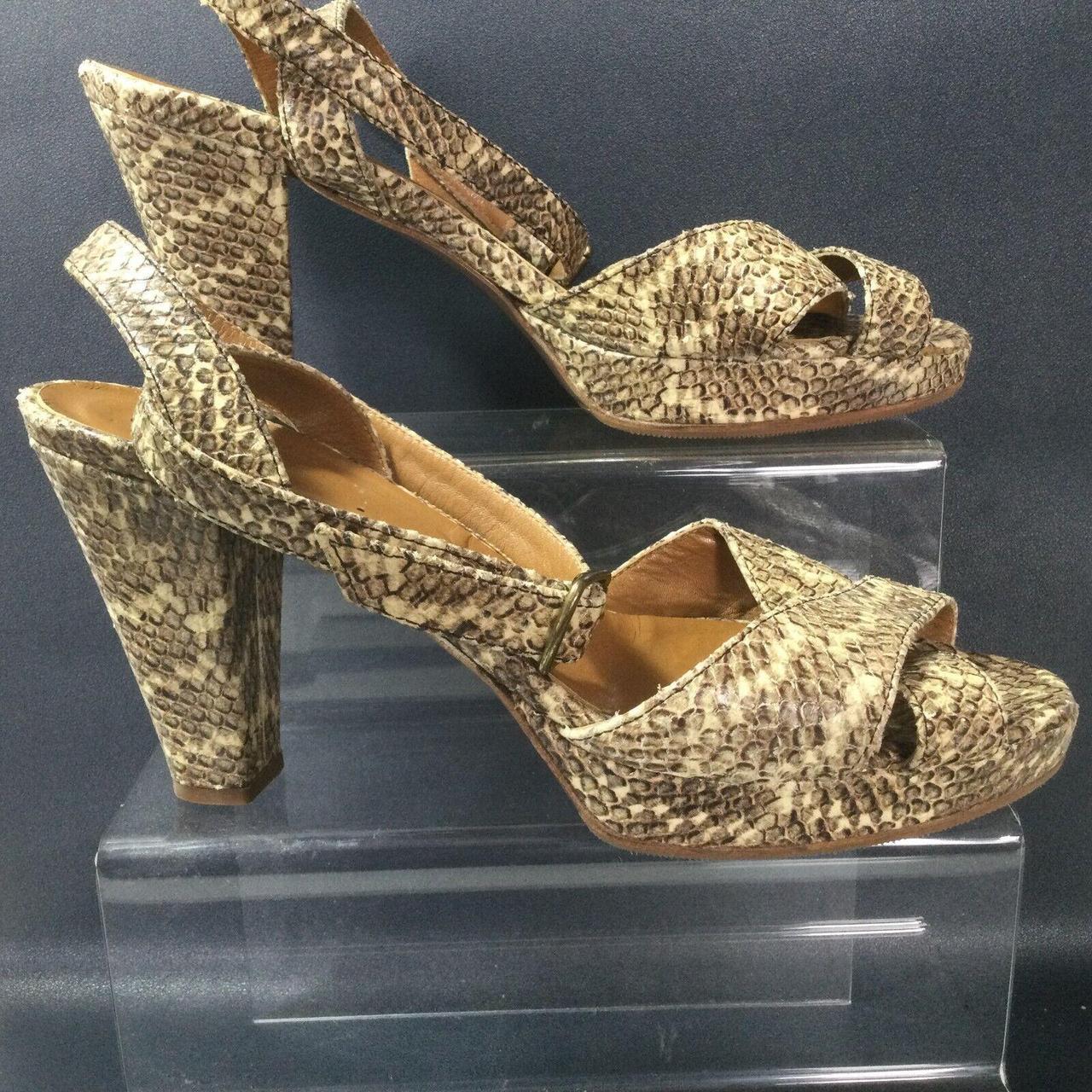 Snakeskin Print Hobbs Snakeskin Shoes Hobbs Snake Print Brown
