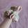item listed by lovefairymel