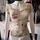 item listed by petitefraisee