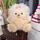 item listed by petitefraisee