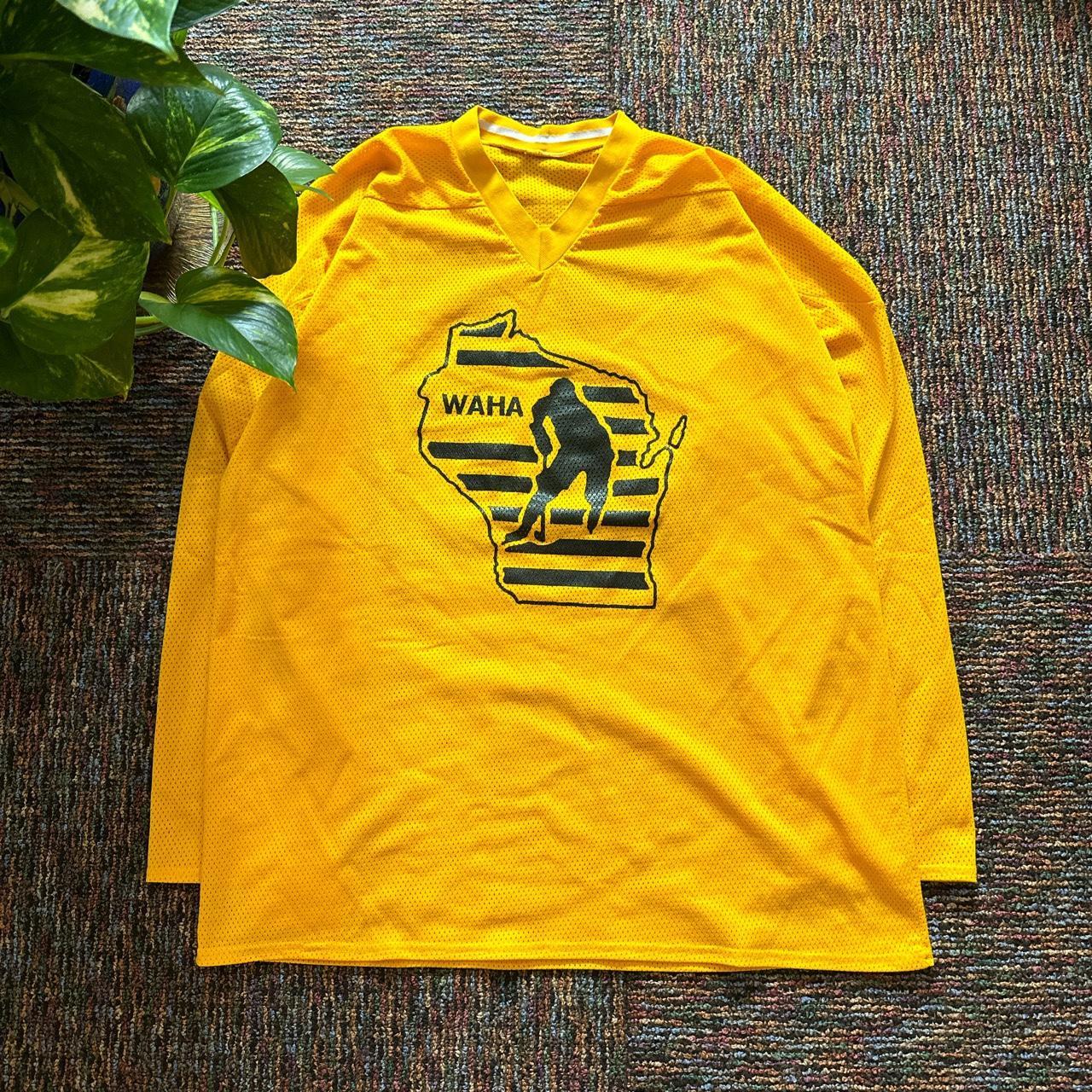 WISCONSIN AMATEUR HOCKEY ASSOCIATION visual data 3