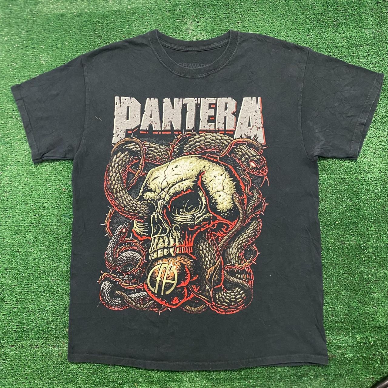 Vintage Y2K Pantera Skull Snake Heavy Metal Rock | Depop