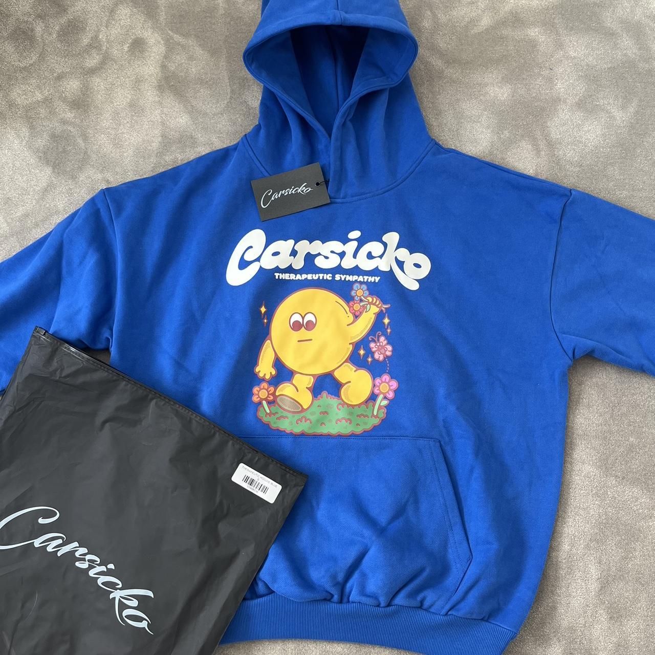 Blue Carsicko Therapeutic Hoodie Size S Brand new... - Depop