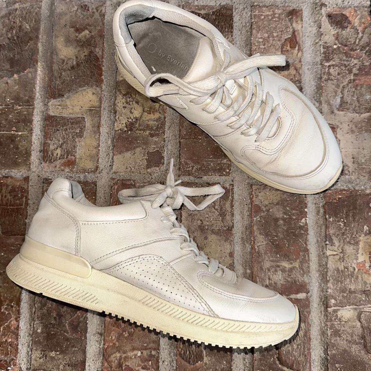 everlane white sneakers