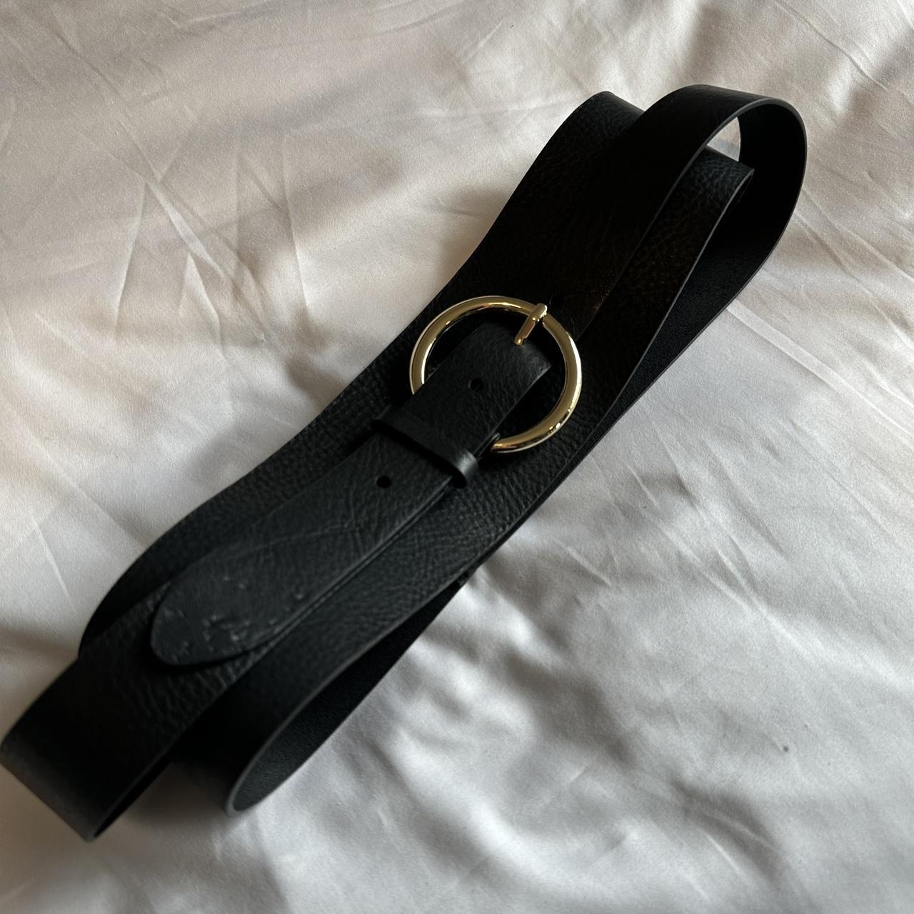 sandro belt