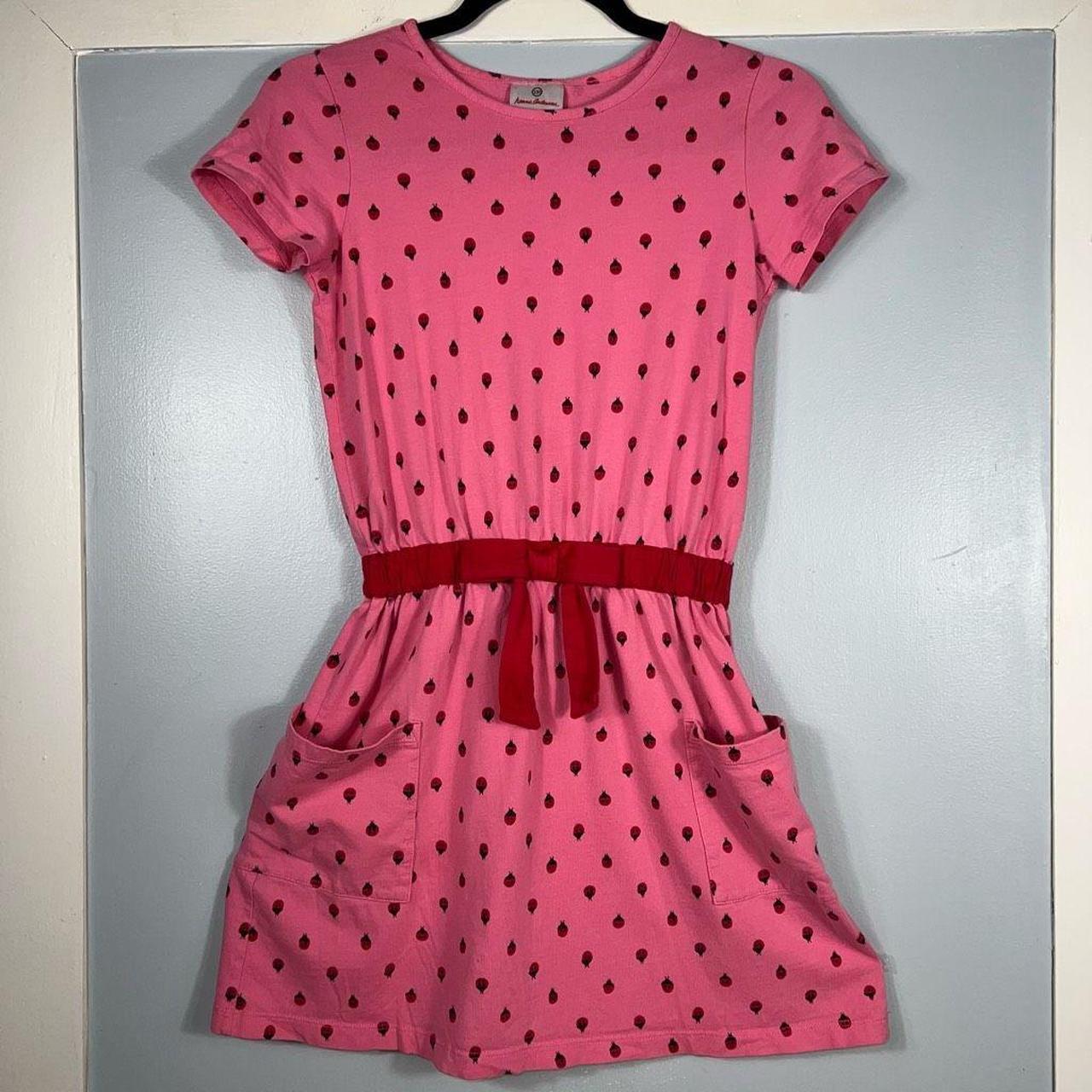 Hanna Andersson Pink and Red Dress | Depop