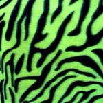 8eightclothez's profile picture