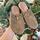 Fly london women's preloved vintage brown and tan retro western cottage clogs