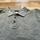 item listed by domdenimco