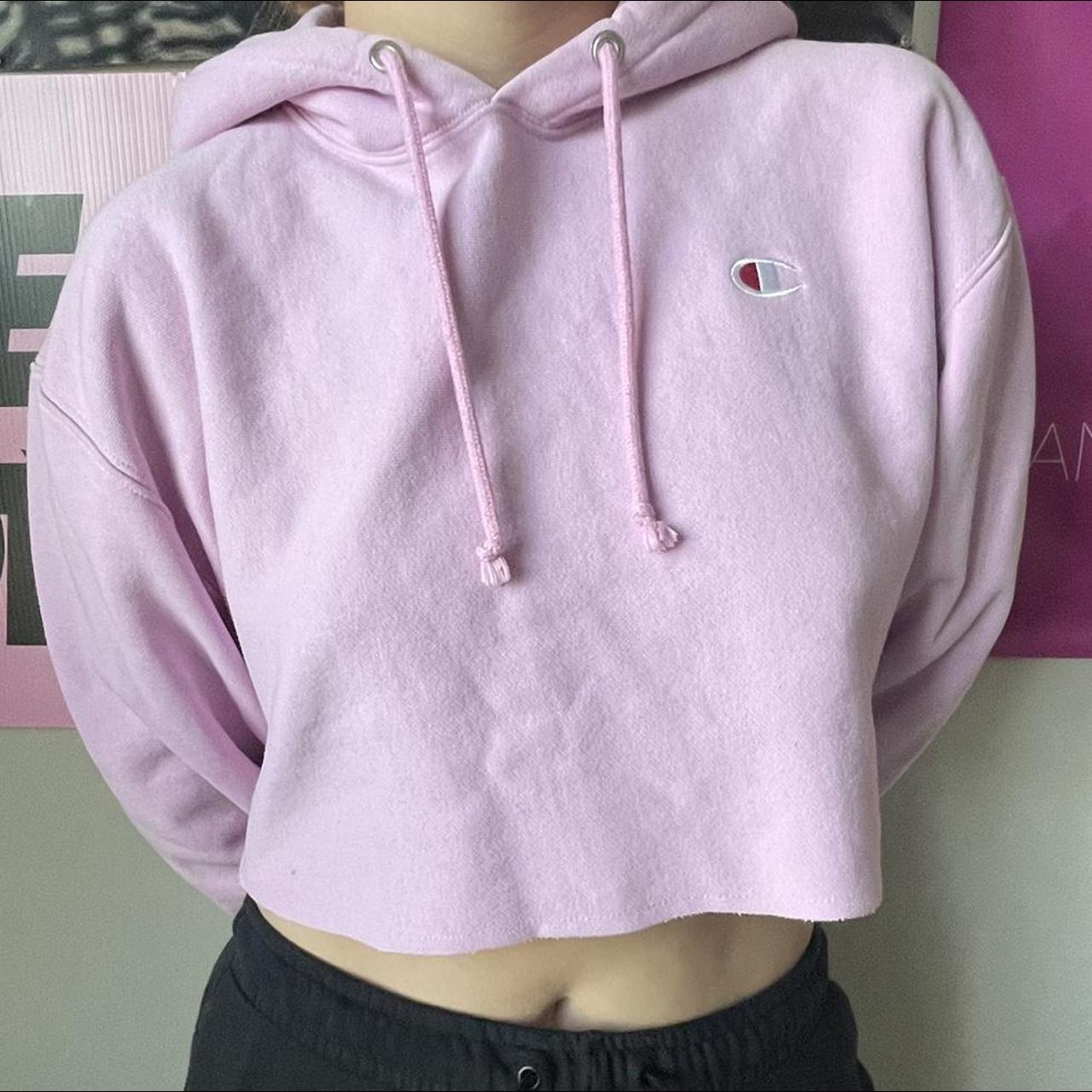 Purple and pink Champion cropped hoodie. The