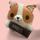 item listed by amychiaki