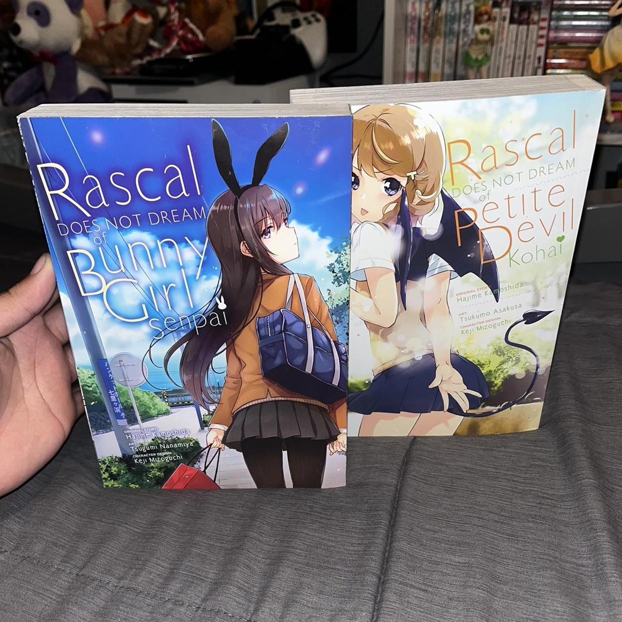 Rascal Does Not Dream of Bunny Girl Senpai by Hajime Kamoshida