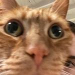 cbegley's profile picture
