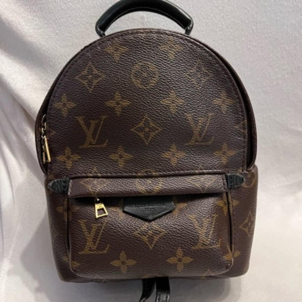 Louis vuitton palm spring backpack mini, authentic, - Depop