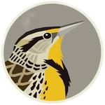 meadowlarkmerc's profile picture