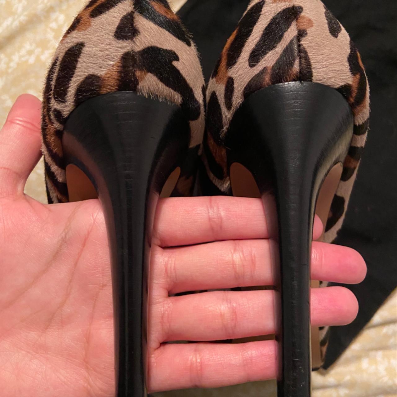 Giuseppe Zanotti Women's Courts (4)