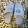 item listed by sierraaliciaa
